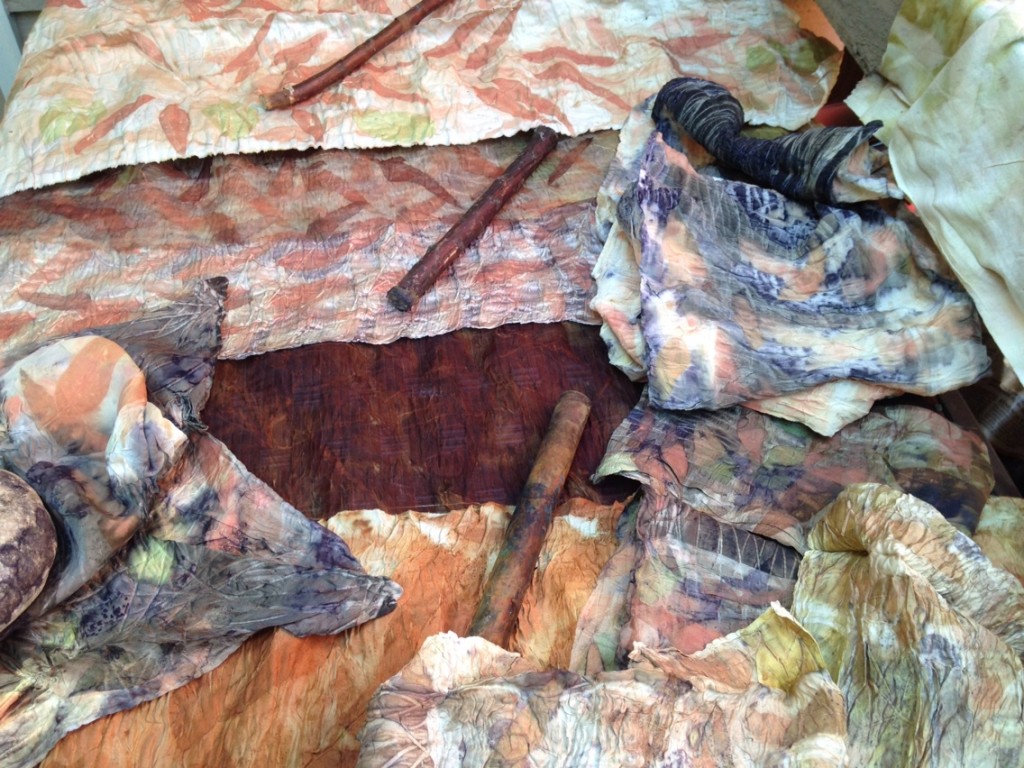 various colors and marks achieved using natural plants to dye and print fabric